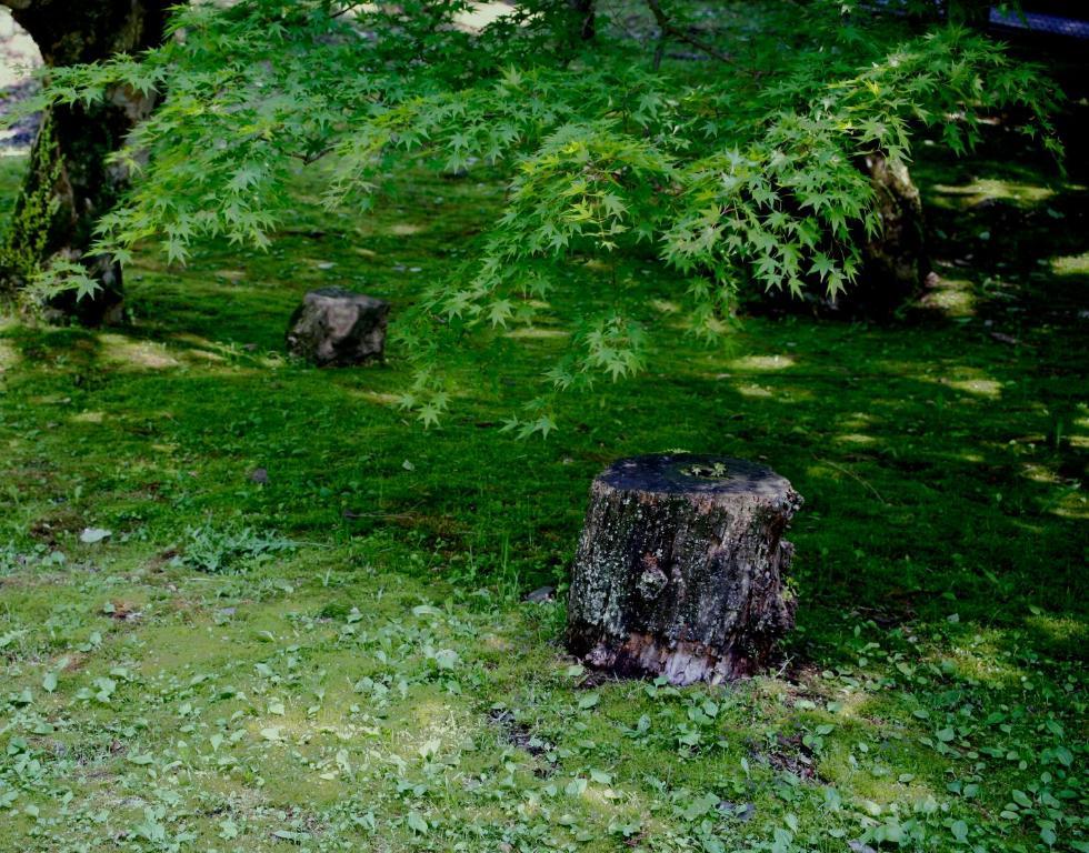Kamata Yugawara Exterior photo